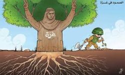 غزة .. صمود يقهر العدوان وبأس يرعب جيش الاحتلال الجبان
